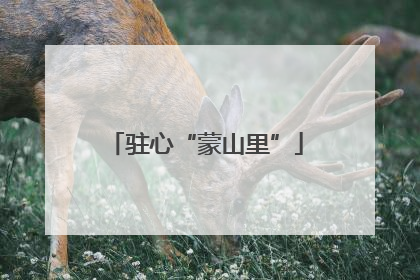 驻心“蒙山里”