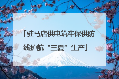 驻马店供电筑牢保供防线护航“三夏”生产