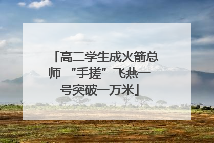 高二学生成火箭总师 “手搓”飞燕一号突破一万米
