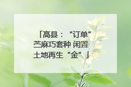 高县：“订单”苎麻巧套种 闲置土地再生“金”