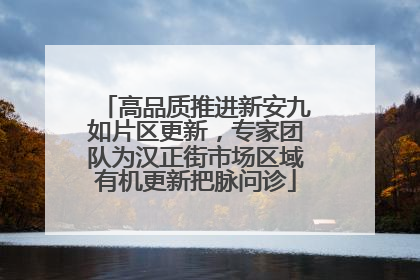 高品质推进新安九如片区更新，专家团队为汉正街市场区域有机更新把脉问诊