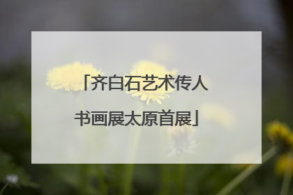 齐白石艺术传人书画展太原首展