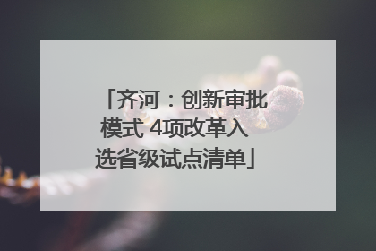 齐河：创新审批模式 4项改革入选省级试点清单