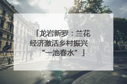 龙岩新罗：兰花经济激活乡村振兴“一池春水”