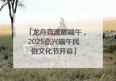 龙舟竞渡耀端午，2025嘉兴端午民俗文化节开幕