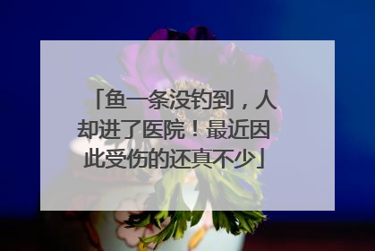 鱼一条没钓到，人却进了医院！最近因此受伤的还真不少