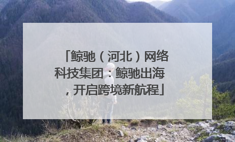 鲸驰（河北）网络科技集团：鲸驰出海，开启跨境新航程