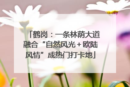 鹤岗：一条林荫大道融合“自然风光＋欧陆风情”成热门打卡地
