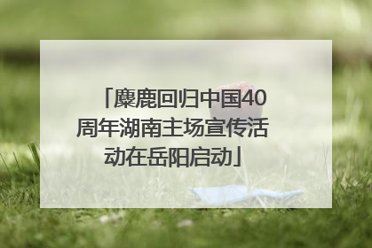 麋鹿回归中国40周年湖南主场宣传活动在岳阳启动