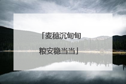麦穗沉甸甸 粮安稳当当
