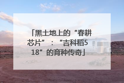 黑土地上的“春耕芯片”：“吉科稻518”的育种传奇