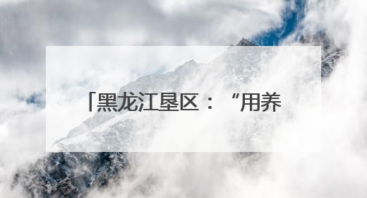 黑龙江垦区：“用养结合”保护黑土地