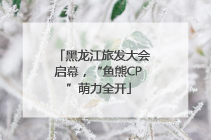 黑龙江旅发大会启幕，“鱼熊CP”萌力全开