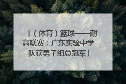 （体育）篮球——耐高联赛：广东实验中学队获男子组总冠军