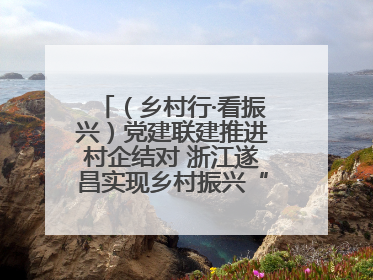 （乡村行·看振兴）党建联建推进村企结对 浙江遂昌实现乡村振兴“加速度”