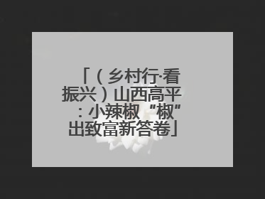 （乡村行·看振兴）山西高平：小辣椒“椒”出致富新答卷