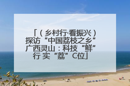 （乡村行·看振兴）探访“中国荔枝之乡”广西灵山：科技“鲜”行 实“荔”C位