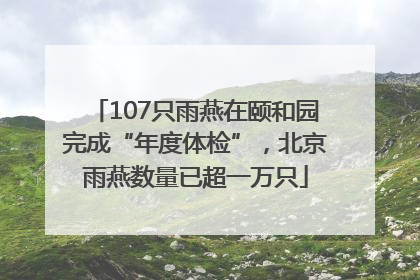 107只雨燕在颐和园完成“年度体检”,北京雨燕数量已超一万只