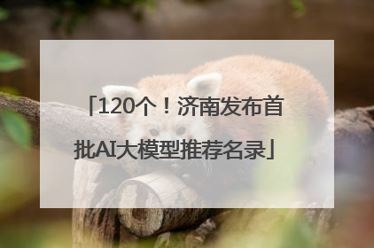 120个！济南发布首批AI大模型推荐名录