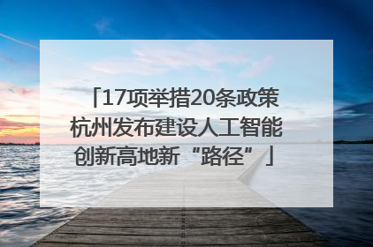 17项举措20条政策 杭州发布建设人工智能创新高地新“路径”