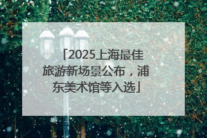 2025上海最佳旅游新场景公布，浦东美术馆等入选
