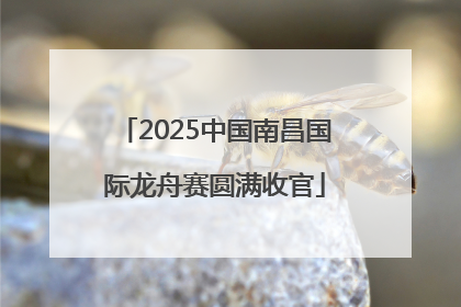 2025中国南昌国际龙舟赛圆满收官