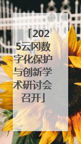 2025云冈数字化保护与创新学术研讨会召开