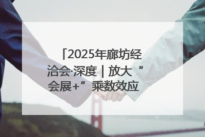 2025年廊坊经洽会·深度｜放大“会展+”乘数效应 打造消费新场景