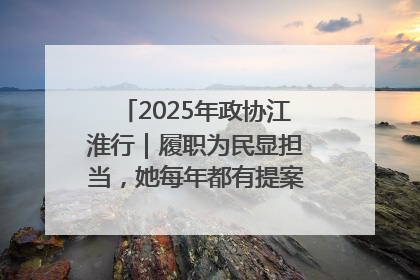 2025年政协江淮行｜履职为民显担当，她每年都有提案被评为“优秀”