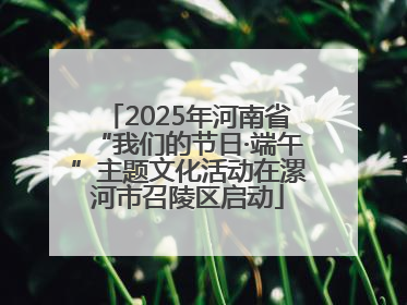 2025年河南省“我们的节日·端午”主题文化活动在漯河市召陵区启动