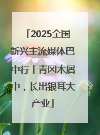 2025全国新兴主流媒体巴中行丨青冈木屑中，长出银耳大产业