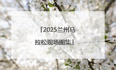 2025兰州马拉松现场图集