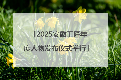 2025安徽工匠年度人物发布仪式举行