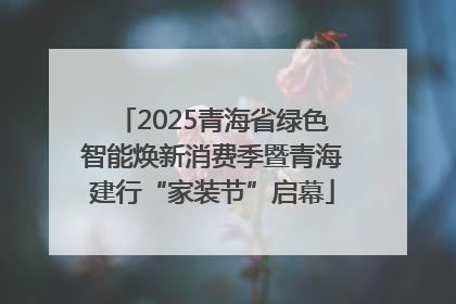 2025青海省绿色智能焕新消费季暨青海建行“家装节”启幕