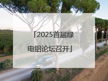 2025首届绿电铝论坛召开
