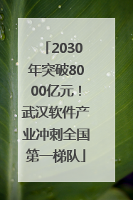 2030年突破8000亿元！武汉软件产业冲刺全国第一梯队
