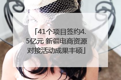 41个项目签约4.5亿元 新疆电商资源对接活动成果丰硕