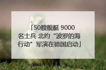 50艘舰艇 9000名士兵 北约“波罗的海行动”军演在德国启动