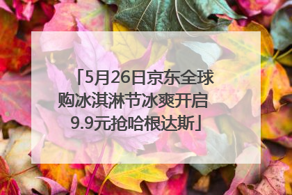 5月26日京东全球购冰淇淋节冰爽开启 9.9元抢哈根达斯