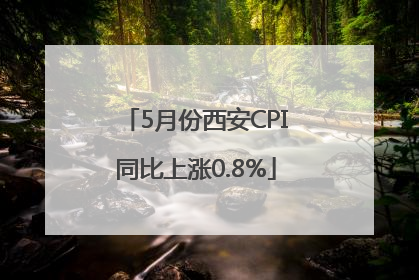 5月份西安CPI同比上涨0.8%