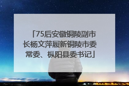75后安徽铜陵副市长杨文萍履新铜陵市委常委、枞阳县委书记