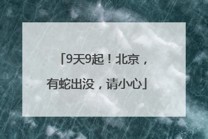 9天9起！北京，有蛇出没，请小心