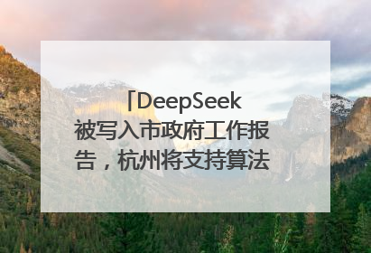 DeepSeek被写入市政府工作报告，杭州将支持算法模型企业发展