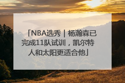 NBA选秀｜杨瀚森已完成11队试训，凯尔特人和太阳更适合他
