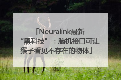 Neuralink最新“黑科技”：脑机接口可让猴子看见不存在的物体