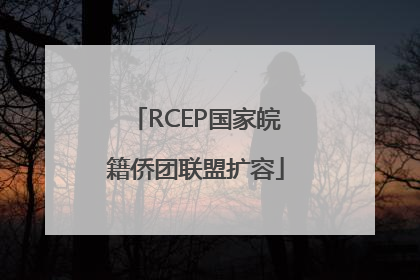 RCEP国家皖籍侨团联盟扩容